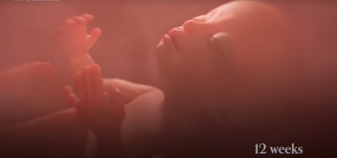 Reactie op klachten Week van het Leven: ‘Het gesprek over abortus mág confronteren’